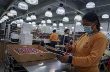 Actividad productiva en Ecuador, foto Xinhua