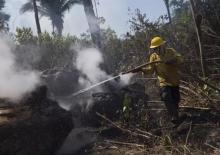 Foto incendios forestales amazonia, foto Europaress