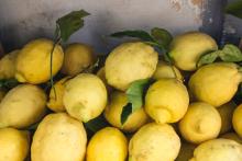 limones
