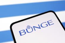 Logo Bunge