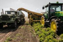 Agricultura. Foto: Pexels.