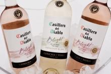 Fuente: Casillero del Diablo