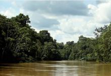 Yasuni, foto Reuters