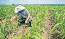 Fuente: El Economista