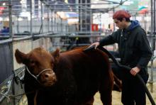 Carne bovina. Foto: Reuters. 