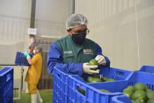 Fuente: Agencia Andina