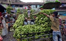 Plátano. Foto: Reuters. 