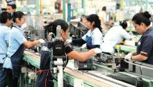 fuente el economista mexico