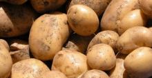Fuente: Mundo Agro