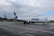 Fuente: Wingo