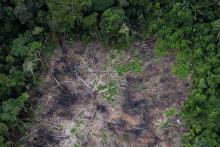 Fuente: WWF Perú