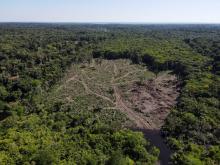 EE.UU. quiere sancionar a deforestadores de Brasil, endureciendo la lucha contra el cambio climático