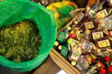 Organismo de ONU dice que cultivos de coca aumentan en Bolivia, pero el Gobierno lo niega