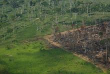 La deforestación de la Amazonia brasileña retrocede desde un máximo de 15 años