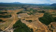 La UE negocia un acuerdo para parar la importación de productos ligados a la deforestación