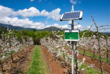 Agtech Chilena WiseConn levanta capital con Morningside Group