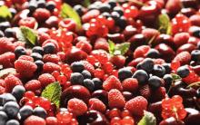 Acciones de chilena Hortifrut se disparan tras oferta de canadiense PSP Investment