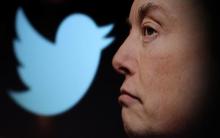 Elon Musk dice que dimitirá como jefe de Twitter cuando encuentre a un sustituto