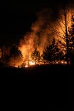 Chile decreta Estado de Excepción Constitucional por incendios en Viña del Mar