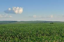 Incertidumbres nublan expectativas de repunte económico paraguayo