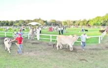 Paraguay registra récord en exportaciones de carne bovina en 2022