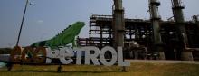 Construirán planta de biomasa que generará energía verde para Ecopetrol