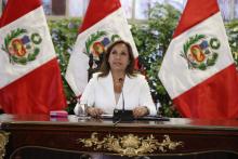 Presidenta Dina Boluarte hace llamado a una tregua nacional en Perú para entablar diálogo