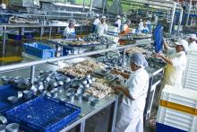 Perú tiene potencial de clústeres productivos para desarrollarse