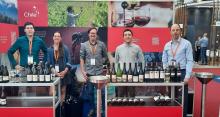 Vinos: 2022 termina con una baja moderada en exportaciones chilenas