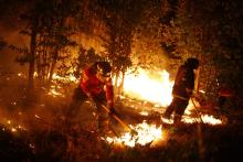 Ocho personas investigadas en Chile por responsabilidad en incendios forestales