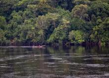 Amazonia brasileña inicia combate contra minería ilegal 