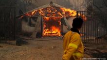 Incendios en Chile: las razones de la tormenta de fuego perfecta